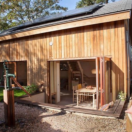 Ecolodge De Parel Schoorl Eksteriør bilde